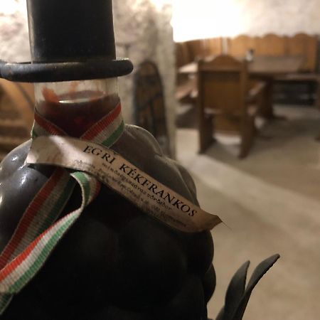Vino Apartman Eger Zewnętrze zdjęcie